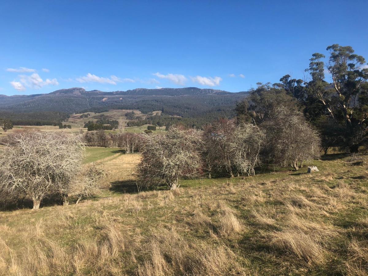 Mole Creek Hideaway酒店 外观 照片