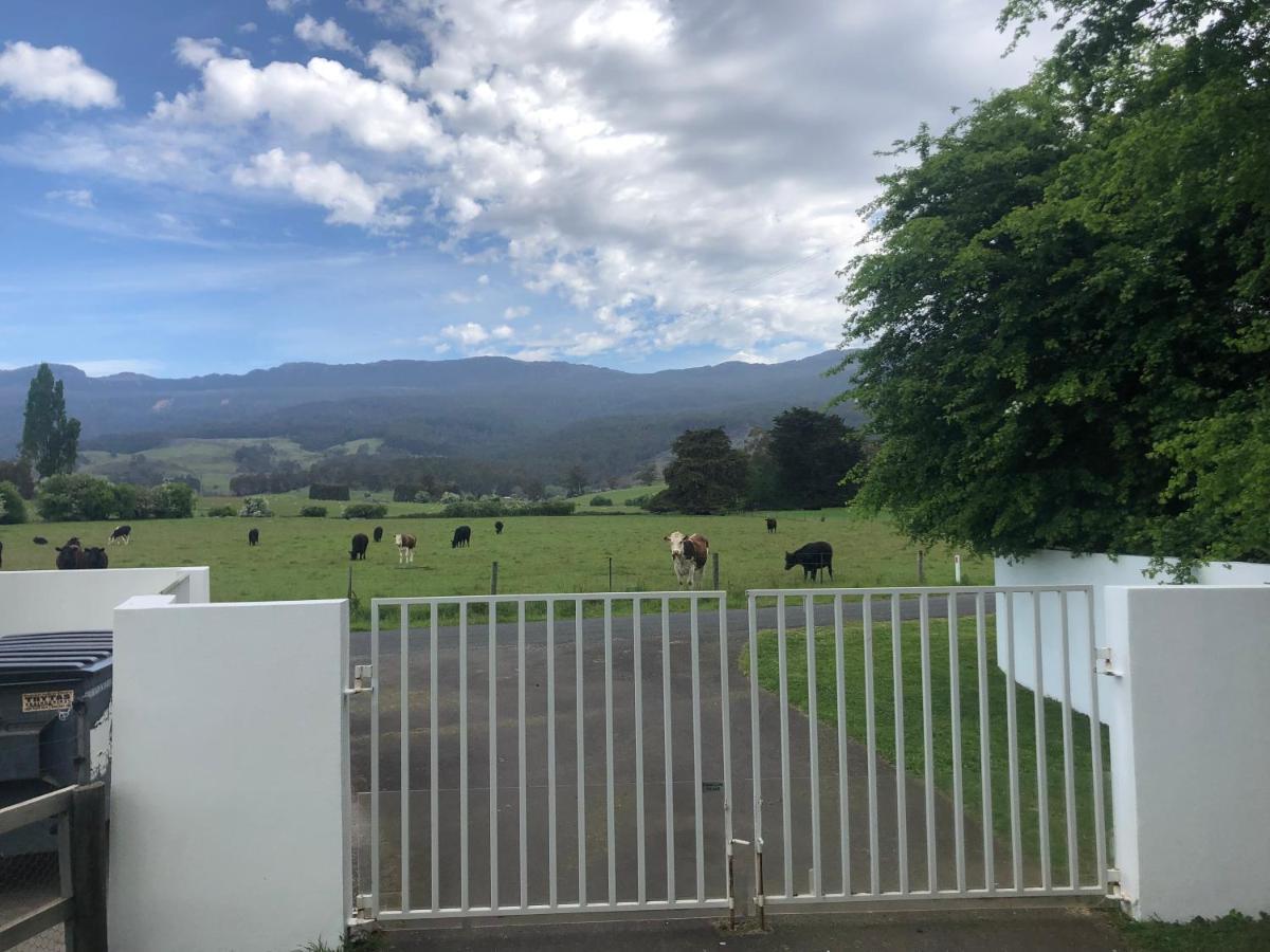 Mole Creek Hideaway酒店 外观 照片